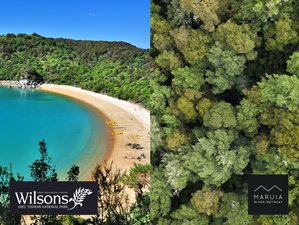 5 Day Beach to Beech: Forest Adventure Tour and Wellness Retreat in Tasman, South Island