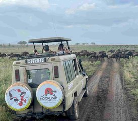 10 jours safari Kenya et Tanzanie : histoires inédites - Photo 5