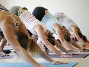 3-Daags Yin & Reset Yoga Wandelweekend in Meddo, Nederland 