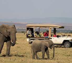 5 Tage Beste Samburu- und Aberdare-Safari in Kenia - Photo 3