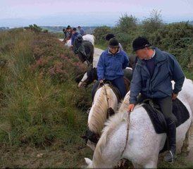 8 jours en séjour équestre résidentiel tous niveaux An Sibin à Whitegate, County Clare, Irlande - Photo 2
