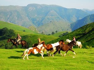 8 Day Eusko Trek: Combo Basque Mountains and Atlantic Beach Horse Riding Holiday in the Landes