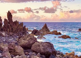 Newcastle Retreats und Reisen