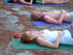 7 Day Inner Peace with Yoga, TRE, and Essential Oils in Hvar Island, Split-Dalmatia