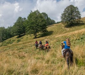 6 Day High Balkan Trail Ride: Horse Riding Adventure in Bulgaria - Photo 4