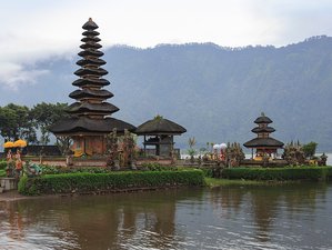 5 Day Temple on Lake, Harvesting Strawberry, and Yoga Meditation Retreat in Tabanan, Bali, Indonesia