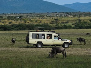 5 Day Exclusive Private Safari in Kenya: Masai Mara, Lake Nakuru, and Lake Naivasha Adventure