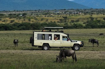 5-Daagse Exclusieve Privé Safari in Kenia: Masai Mara, Lake Nakuru en Lake Naivasha