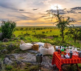8 Tage private luxuriöse Big-Five-Safari in Tansania in Tarangire, Ngorongoro und Serengeti - Photo 4