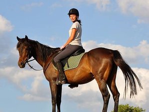 5 Tage Reiturlaub in Nord-Euböa, Griechenland mit Blick auf die Ägäis und das Festland