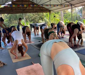28 Day 200-Hour Affordable Ashtanga Vinyasa, Hatha, Yin Yoga Teacher Training in Varkala, India - Photo 4