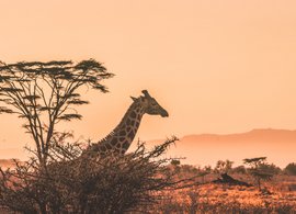 Krugerpark Retraites en Reizen