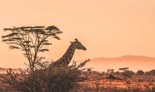 Krugerpark Retraites en Reizen