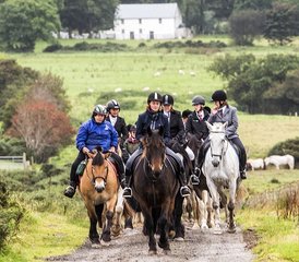 7 jours en stage d’équitation Signature châteaux, Chaussée des Géants, côte et campagne en Irlande du Nord, Royaume - Photo 2