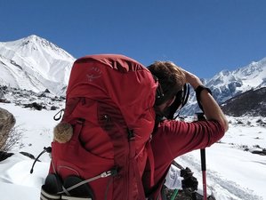 11 Day Langtang Valley Yoga and Trekking in Nepal