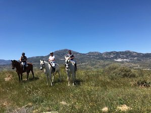 5 Day Exceptional Riding in Sierra de las Nieves Natural Park, Andalusia