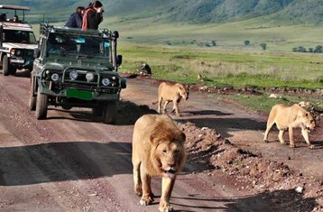 6-Daagse Tanzania Safari in Lake Manyara, Tarangire, Ngorongoro en Serengeti National Parks