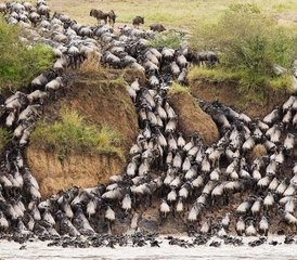 6 Tage Unvergessliche Camping Safari im Masai Mara, Nakuru-See und Amboseli in Kenia - Photo 4