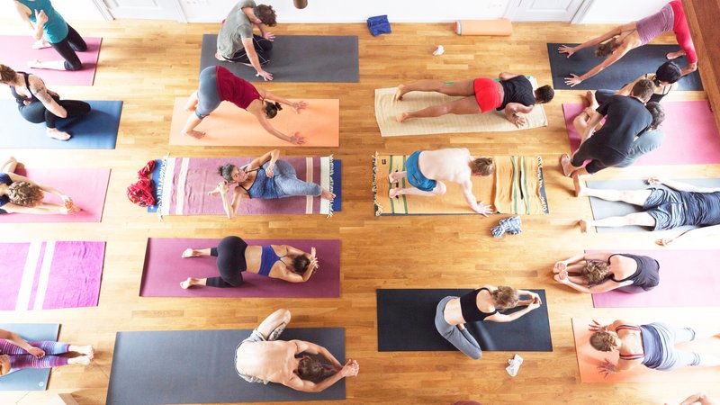 7 Day 50-Hour Grischa's Ashtanga Yoga Retreat in Brandenburg 