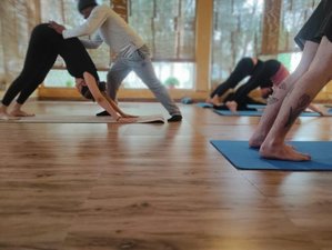 8 Day Blissful and Healing Yoga Retreat in Rishikesh, India