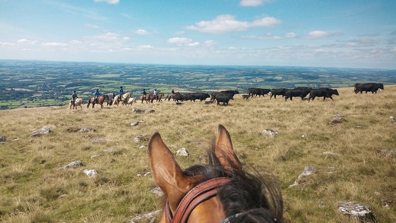 Horses Riding Devon 8 Day Dartmoor Crossing Horse Riding Holiday in Devon, UK ...