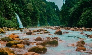 Alajuela Province Retreats & Trips