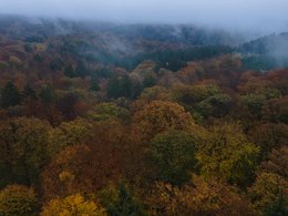 Luxembourg Retreats & Trips