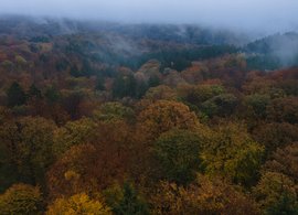 Luxembourg Retreats & Trips