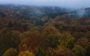 Luxemburg Retreats und Reisen