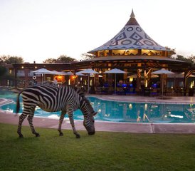 4-Daagse Safari Verkenning in de Machtige Victoriawatervallen, Zambia - Photo 5