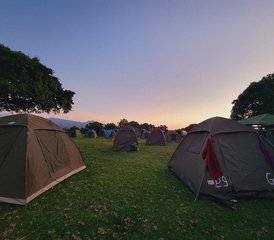 11 Tage Budgetfreundliches Kenia und Tansania Safari Paket im Mara, Amboseli, Serengeti und mehr - Photo 3