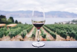 Weinverkostung Retreats und Reisen