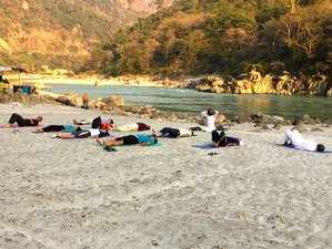 15 días de retiro de yoga y meditación en Rishikesh, Uttarakhand
