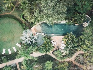 8 Day Costa Rica Aerial Retreat