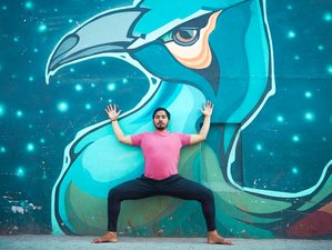 23 Day 200-Hour Hatha Ashtanga Yoga Teacher Training Course in Rishikesh, India