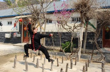 14-Daagse 1-op-1 Online Cursus Chinese Taoïstische Medische Qigong (14 Uur) voor Lichaam en Geest