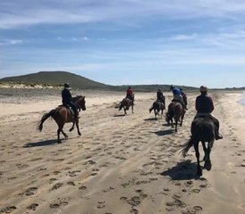 06 Day Clew Bay Trail Horse Riding Holiday Along Ireland’s Wild Atlantic Way - Photo 1