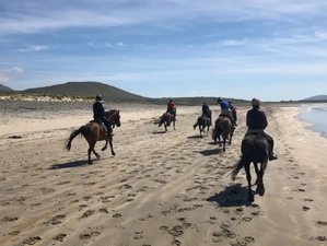6 Day Clew Bay Trail Horse Riding Holiday Along Ireland’s Wild Atlantic Way