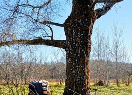 Ifrane Retreats & Trips