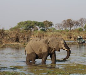 57-Daagse Safariplezier door Mababe in Botswana - Photo 1