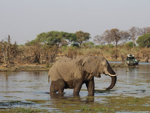7 Day Safari Delight Through Mababe in Botswana