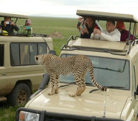 57-Daagse Beste Van De Northern Circuit Budget Safari in Tanzania - Photo 1