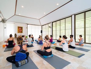7-Day Yoga Retreat in Koh Phangan, Thailand with Breathwork, Meditation & Wellness Workshops