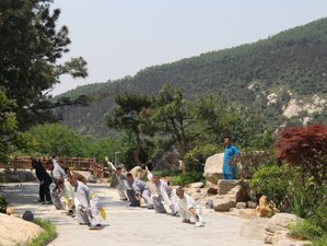 4 Month Sanda, Wing Chun, and China Kung Fu Training in Linyi, Shandong