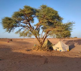 8 jours en stage de respiration du Sahara : exploration du désert et yoga au Maroc - Photo 2
