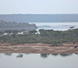 10 Tage Entdecke Wildtiere Safari in Uganda - Photo 2
