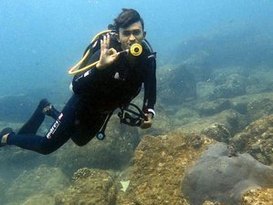 8 Day Beginner Diving Camp with Yoga and Surfing in Hikkaduwa, West Coast