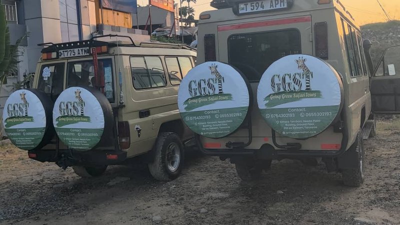 2 Day Mikumi National Park Safari by Scenic Train Experience, Tanzania