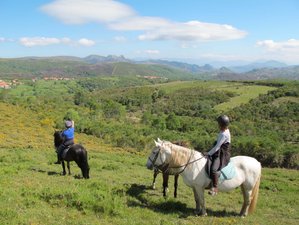 8 Day Beginner Horse Riding Holiday in Peneda Gerês National Park, Northern Portugal