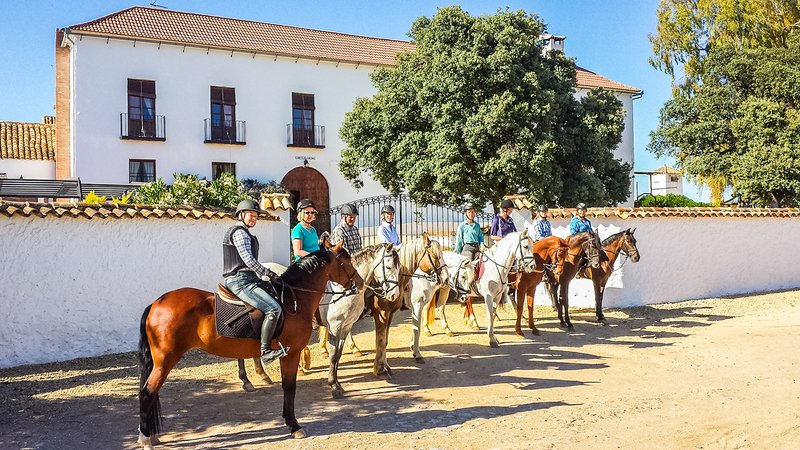 6 Day Extraordinary Horse Riding Holiday in Malaga, Andalusia